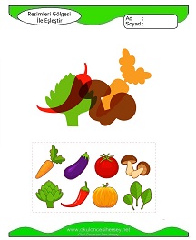 Gölgesi Olmayanı Bul Çalışma Sayfaları